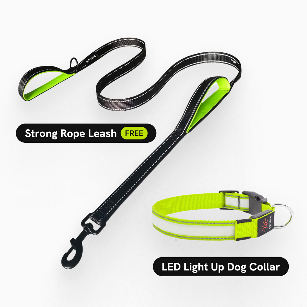 Tryluxelight LED Dog Collar