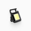 Tryluxelight LED Keychain