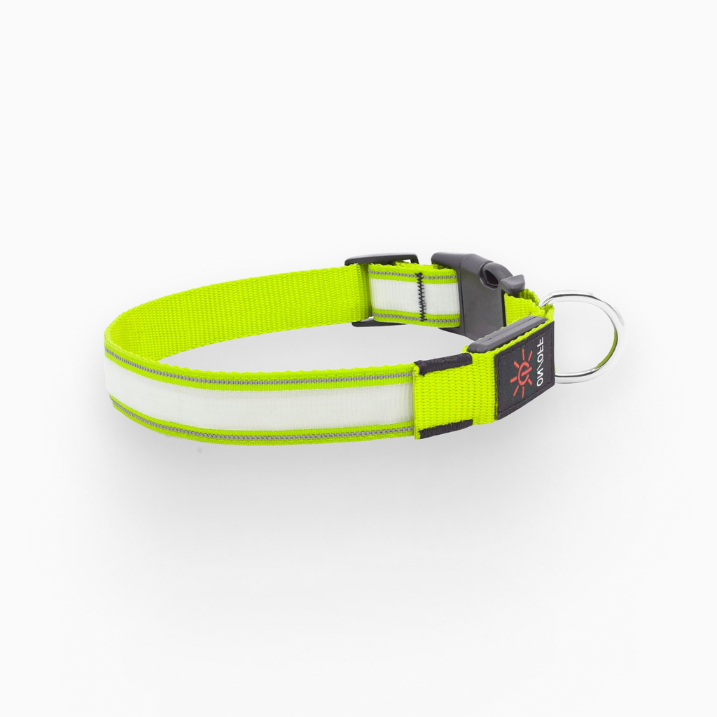 Tryluxelight LED Dog Collar