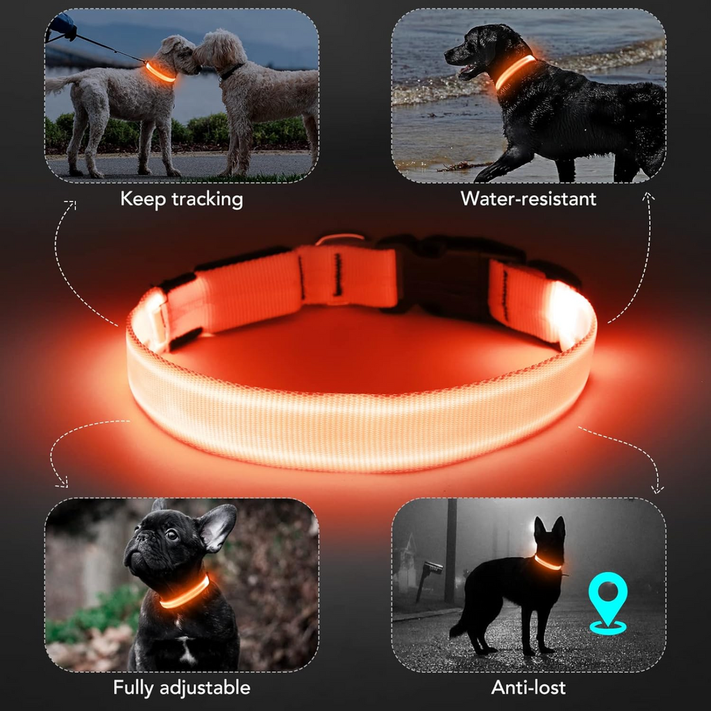 Tryluxelight LED Dog Collar