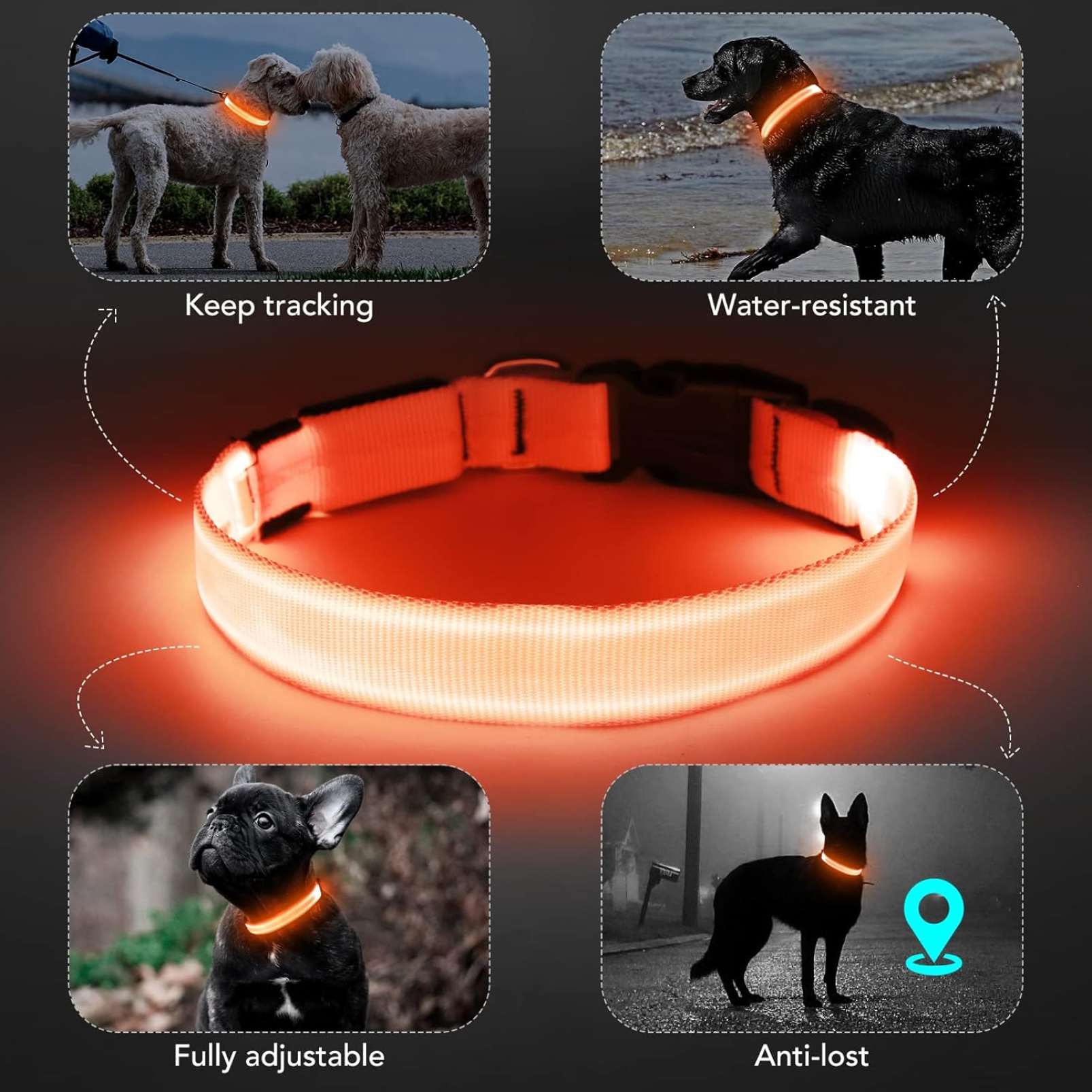 Tryluxelight LED Dog Collar