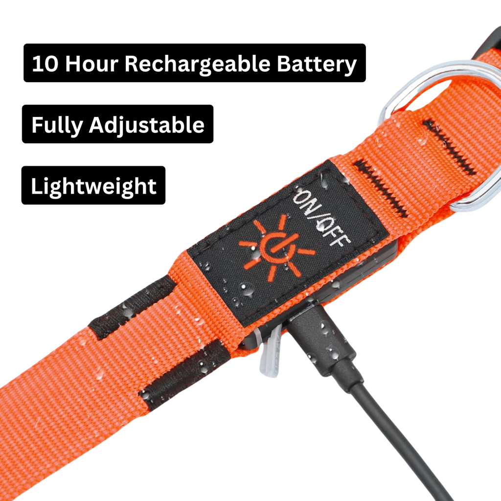 Tryluxelight LED Dog Collar