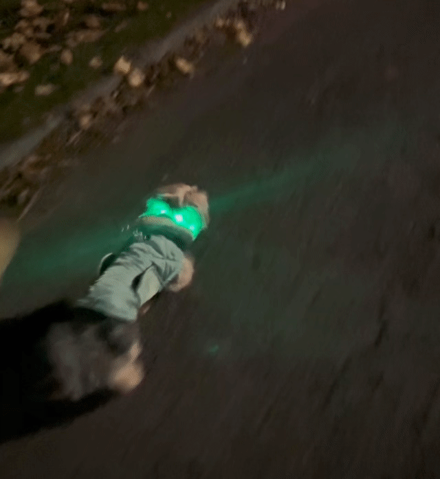 Tryluxelight LED Dog Collar